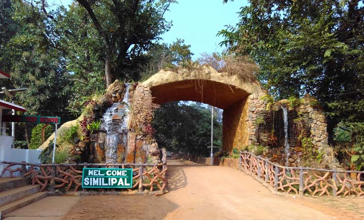 Mayurbhanj’s Natural Splendor: Top Spots for Nature Enthusiasts